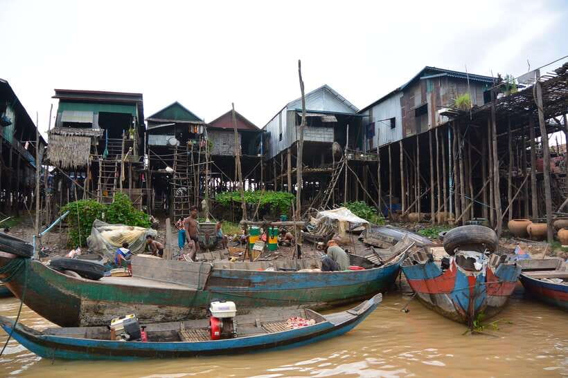 Kompong Phluk and Tonlé Sap Lake: Half-Day Tour - Tonle Sap Lake cruise: freshwater views and real bird-spotting time
