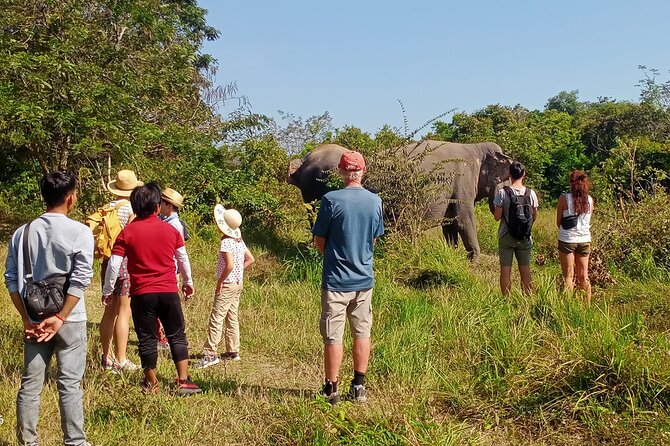 Kulen Elephant Forest and Tonle Sap Lake by Private Tour - Feeding and walking with mahouts: the part animal lovers talk about