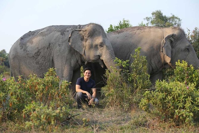 Kulen Elephant Forest & Kampong Phluk by Private Tour - Meeting the Elephants Up Close: Feeding, Enrichment, and Walking