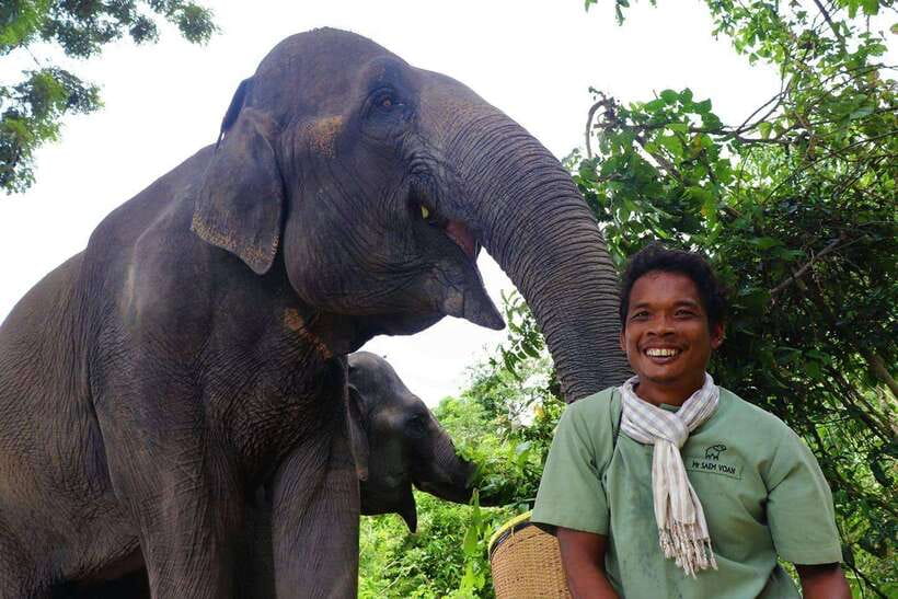 Kulen Elephant Forest Siem Reap in Small Group - Key highlights in plain terms