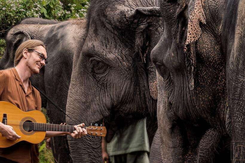 Kulen Elephant Forest Siem Reap in Small Group - What to bring so your day feels easy