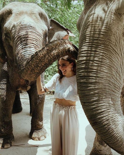 Kulen Elephant Forest Siem Reap in Small Group - Who this tour is best for in Siem Reap