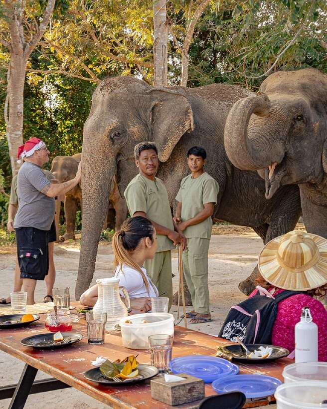 Kulen Elephant Forest & Tonlesap Lake - Meeting the elephants: walking, feeding, and gentle contact