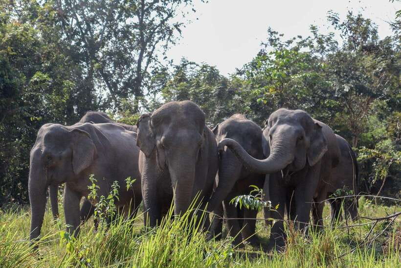Kulen Elephant Forest & Tonlesap Lake - Tonle Sap Lake transfer: arriving for Kompong Phluk life on the water