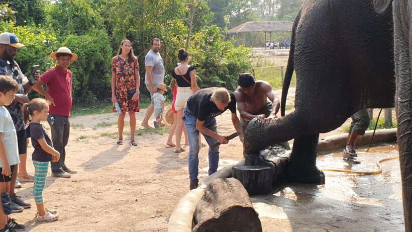 Kulen Elephant Forest & Tonlesap Lake - Floating village and canoe-style moments: what you should expect