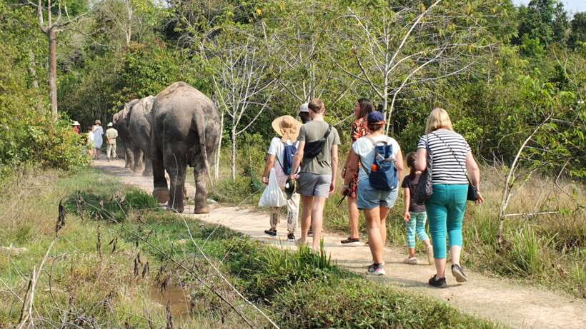Kulen Elephant Forest & Tonlesap Lake - Best-fit travelers, and who should pass