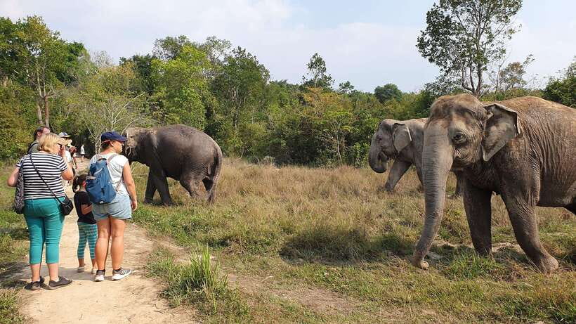 Kulen Elephant Forest & Tonlesap Lake - The guided trek inside Kulen Park: 2 kilometers toward waterfalls