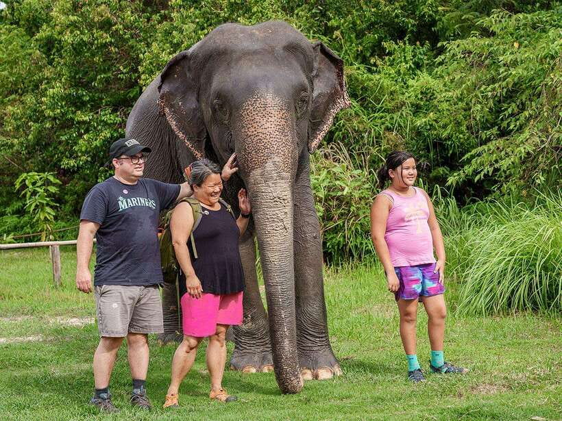 Kulen Elephant Forest Tour with Hotel Pick-up & Drop off - Key things I’d mark on your map