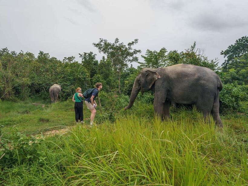 Kulen Elephant Forest Tour with Hotel Pick-up & Drop off - Lunch on the Morning Tour, Snacks on the Afternoon