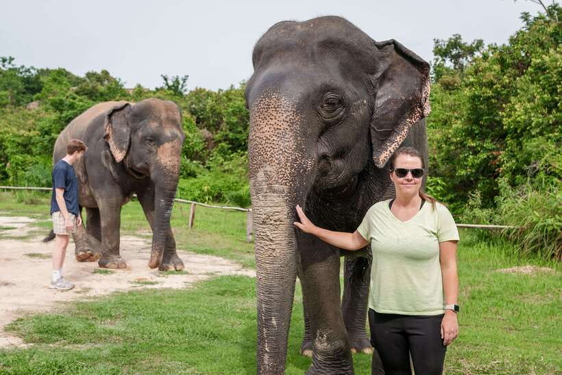Kulen Elephant Forest Tour with Hotel Pick-up & Drop off - Pickup and the Drive: How the Day Starts in Siem Reap