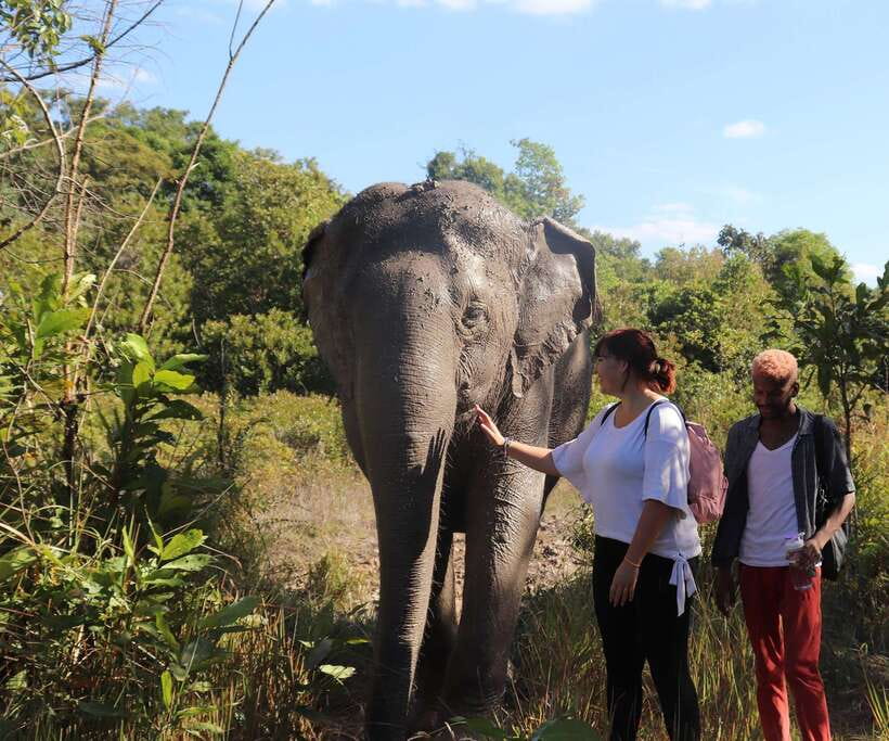 Kulen Mountain Day Trip with Picnic & Kulen Elephant Forest - Key Things I’d Watch for on This Day Trip