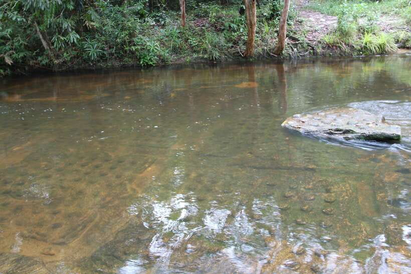 Kulen Mountain: Full-Day Private Waterfall Tour - Optional Banteay Srei stop: Women’s Citadel if you have energy