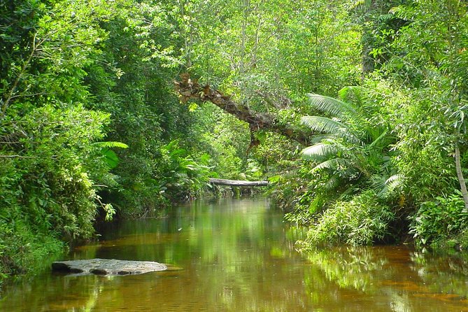 Kulen National Park Ticket - Staying respectful at Phnom Kulen: rules that keep the vibe right