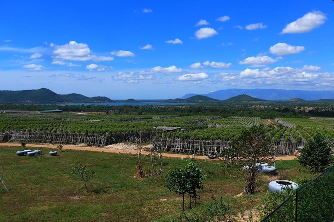La Plantation tour (discovering Kampot Pepper) + Lunch - Getting to the farm from Sihanoukville: meeting point and road reality