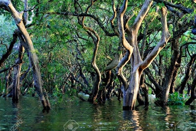 Mechrey Floating Village Tour & Mangrove from Siem Reap - Comfort and reality checks before you book