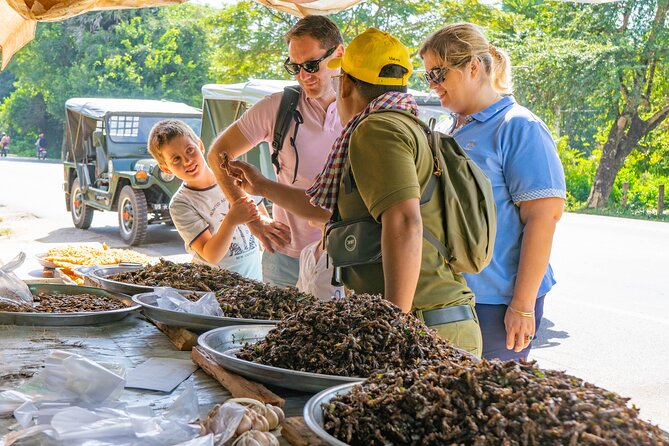Morning Countryside Jeep Tour - Who should book this Siem Reap countryside Jeep tour?