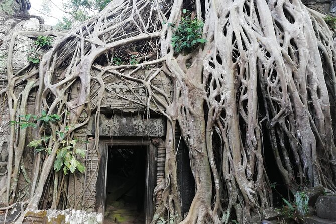 One Day Angkor World Heritage Tour - Ta Prohm in about 1 hour: the jungle sanctuary look and how to photograph it