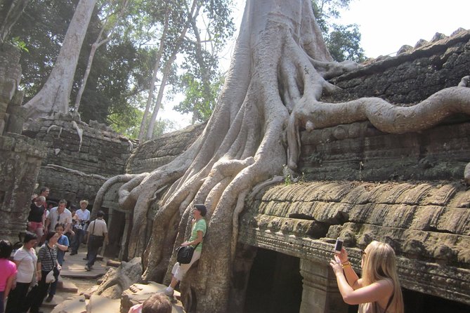 One Day Angkor World Heritage Tour - Air-conditioned rides and cold towels: small perks that actually matter at Angkor