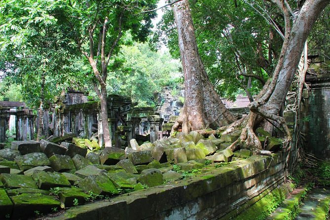 One day normal Angkor tour - One-Day Angkor for $45: where the value comes from