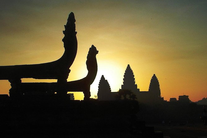 One Day tour with sunrise in car with A/C or Van & Guide. - Ta Prohm: where the jungle effect does the work