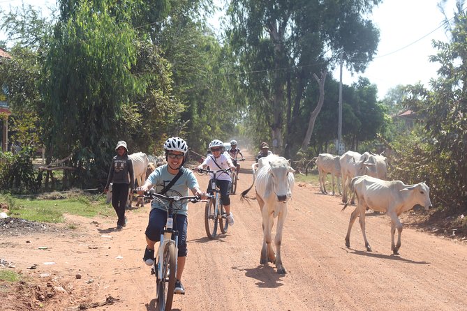 Oudong Mountain And Floating Village Cycle Tour - Price and value: why $85 can feel fair for a full-country day