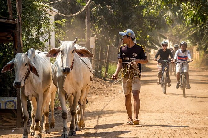 Oudong Temples & Phnom Prasith Private Tour from Phnom Penh - Should you book this Oudong and Tonle Sap sunset day?