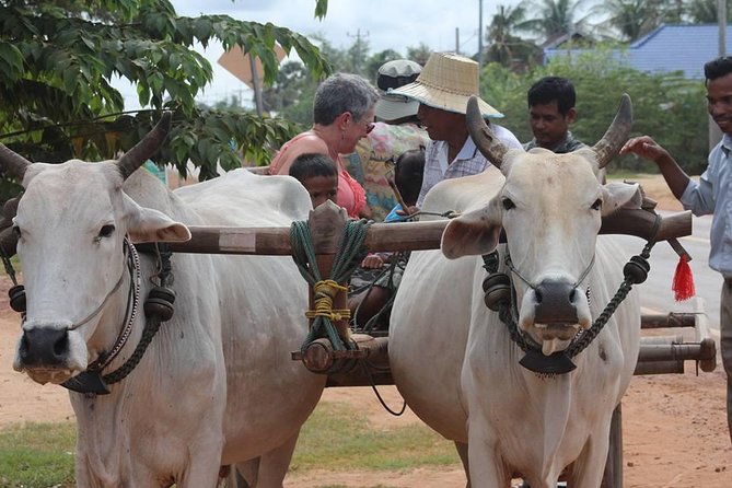 Ox-cart Culture Tour, Countryside Experince in Siem Reap - Key points worth knowing before you go