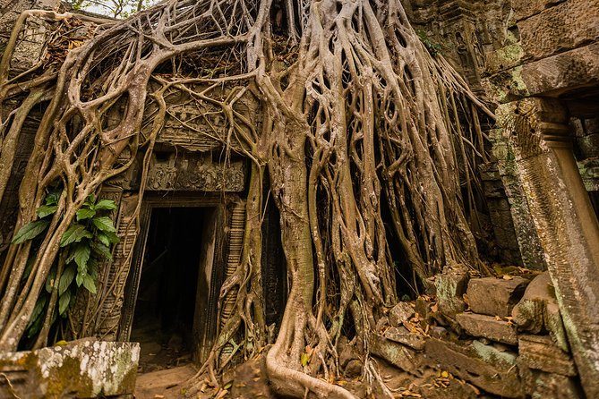 Personalised Angkor Wat Day Tour by an Air-conditioned Car - How the air-conditioned car changes the Angkor day