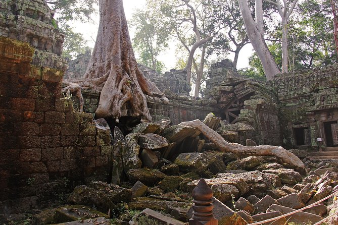 Personalised Angkor Wat Day Tour by an Air-conditioned Car - Bayon Temple and the 49 towers of faces