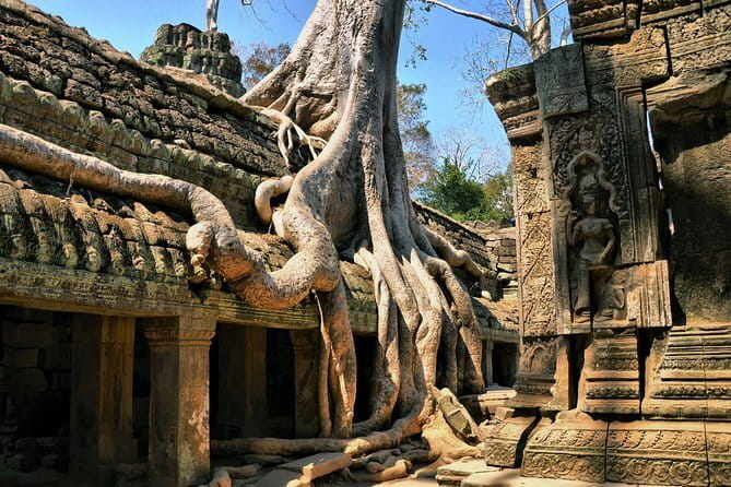 Personalised Angkor Wat Sunrise Off-the-Beaten Track Tour - Price and the hidden math: $75 plus the Angkor Temple Pass