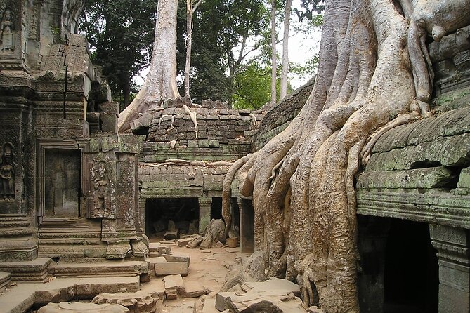 Personalised Angkor Wat Sunrise Tour by an air-conditioned car - Why a private, air-conditioned car makes a sunrise difference