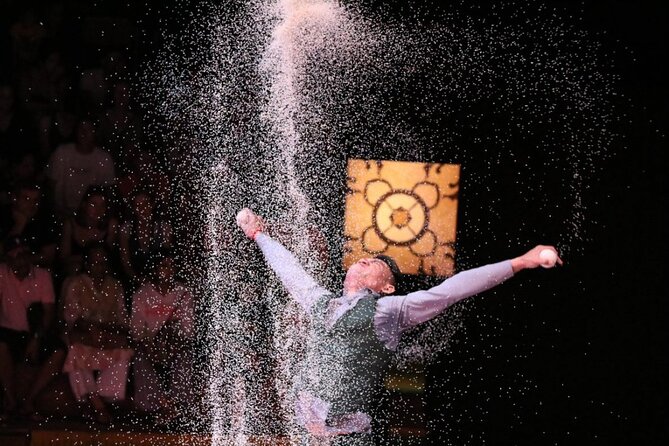 Phare: The Cambodian Circus Show in Siem Reap - Check-In and Timing: How Not to Stress Before the Curtain