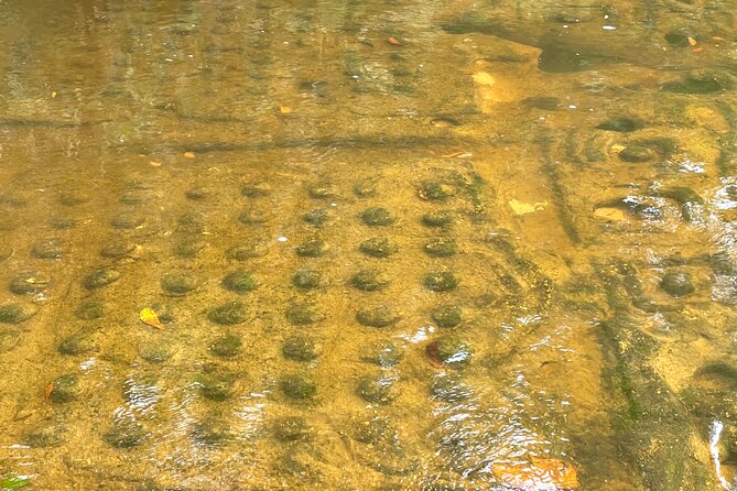 Phnom Kulen Waterfall and Banteay Srei Temple Tour from Siem Reap - 1000 Lingas: sacred carvings along a riverbed