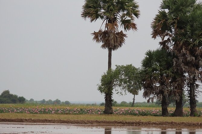 Phnom Penh Countryside Cycle Tour - Khmer Snacks, Lunch at a Villager House, and Real Meal Timing