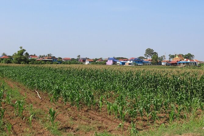 Phnom Penh Countryside Cycle Tour - Bikes, Helmets, Pace, and What the Day Feels Like