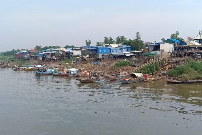 Phnom Penh Countryside Cycle Tour - Mango Groves, Rice Paddies, and the Small Farms You Never See From Town