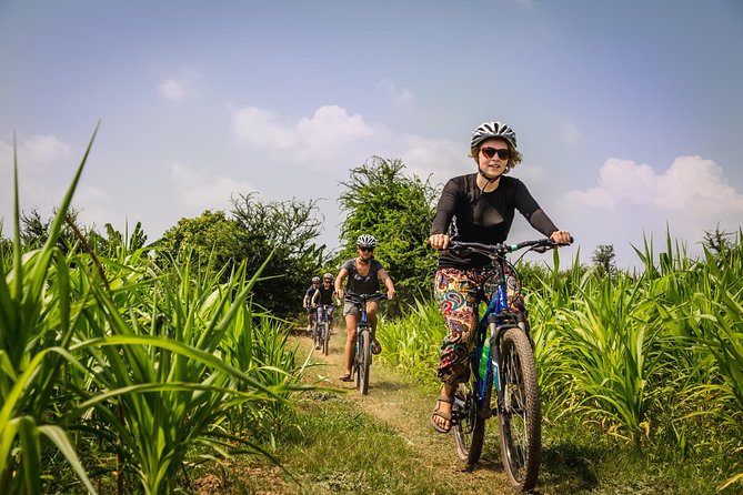 Phnom Penh: Cycling Adventure on Islands of the Mekong - Cycling the Silk Islands: orchards, market gardens, and slower farmland pace