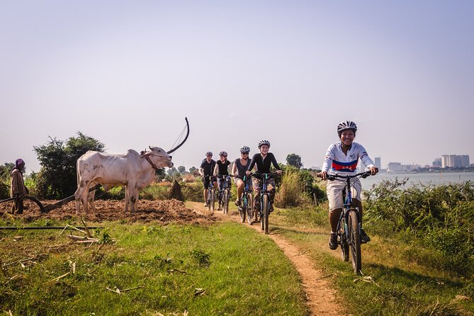 Phnom Penh: Cycling Adventure on Islands of the Mekong - The return to Phnom Penh, aiming for a relaxed finish
