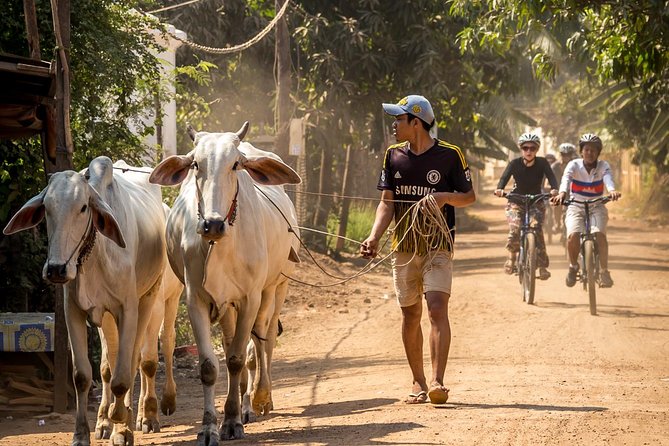 Phnom Penh: Cycling Adventure on Islands of the Mekong - From Areiksart Ferry Port at 7:45am, here’s how the morning starts