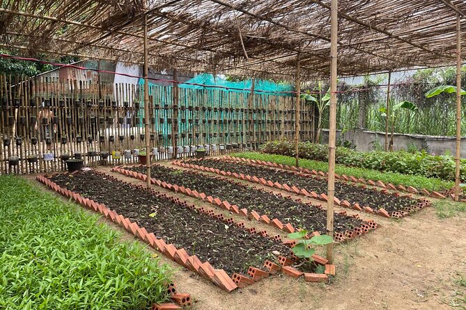 Phnom Penh’s Hands-On Khmer Cooking Class in the Countryside - Price and value: is $35 worth it?