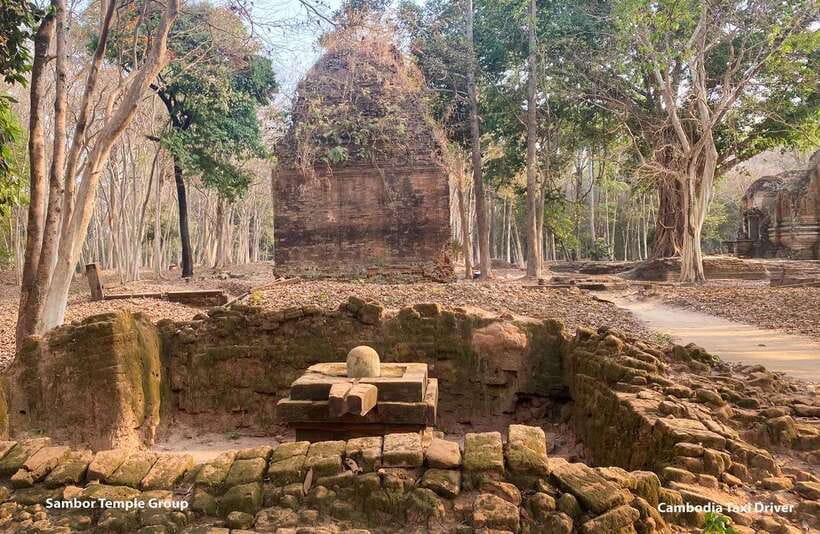 Phnom Penh - Siem Reap Road Transfer Plus Sightseeing - Skoun Market (Spider Ville) and the insect stop you can tailor