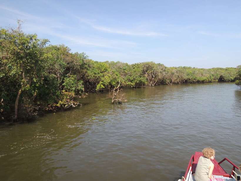 Phnom Penh to Siem Reap cruise/land tour (one way) - The boat portion: Tonle Sap River sights and a slower day