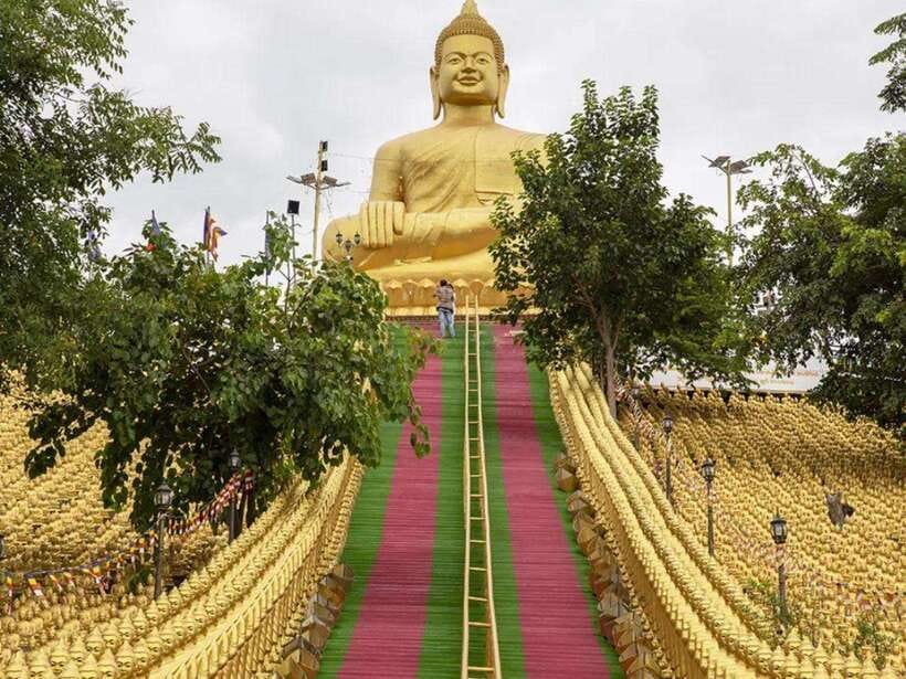 Phnom Tamao Wildlife Center & Buddha Kiri Cambodia Day Tour - Phnom Penh pickup, private comfort, and a sensible day plan