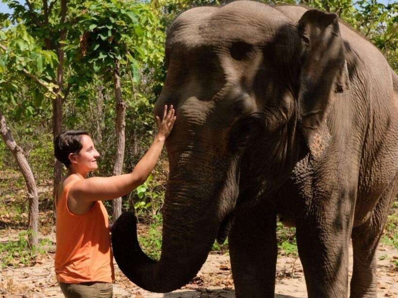 Phnom Tamao Wildlife Center & Buddha Kiri Cambodia Day Tour - Phnom Tamao Wildlife Rescue Center: more than a zoo stop