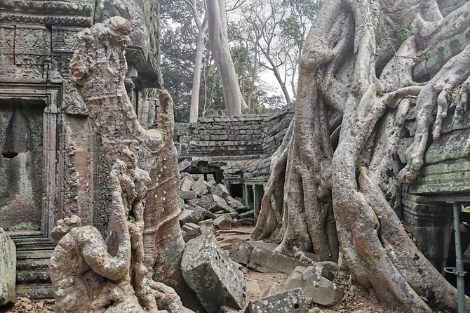 Preah Khan, Ta Prohm, Bayon Off Beaten Track - Meeting at 9:00 AM, Private Van, and a Tight 8-Hour Rhythm