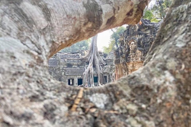 Preah Khan, Ta Prohm, Bayon Off Beaten Track - Ta Prohm: Bayon-Style Khmer, 2 Hours of Stone and Trees