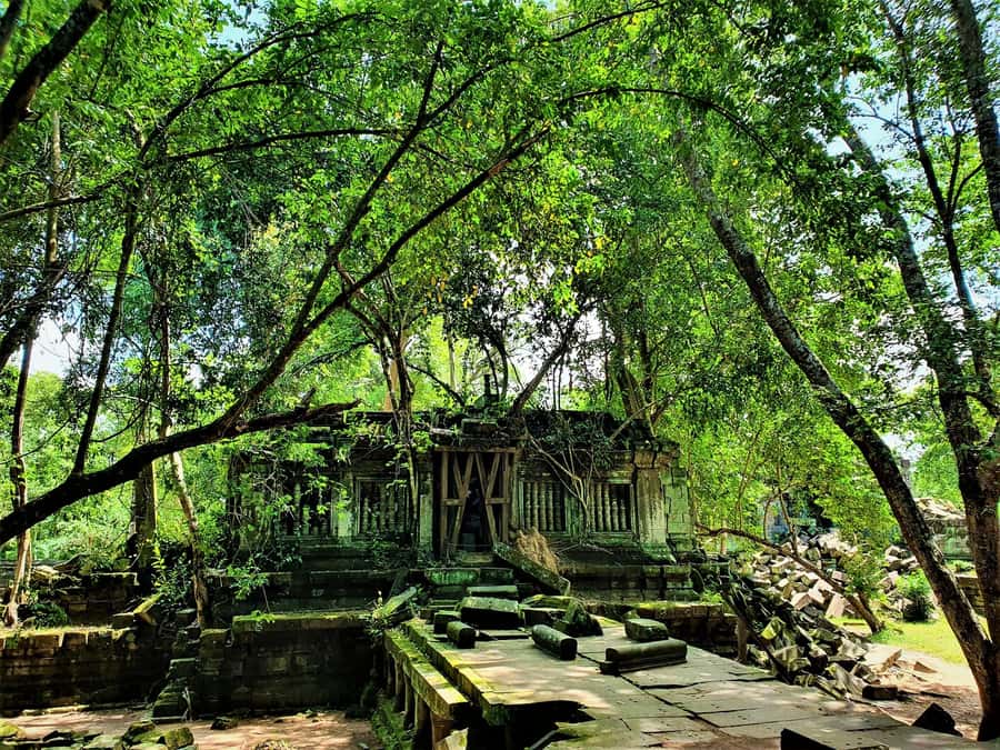 Preah Vihear Temple Koh Ker & BengMealea Tour from Siem Reap - Timing, walking style, and who this day fits best