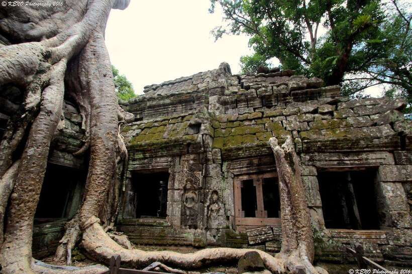 Private Angkor Sunrise, Guide Breakfast and Tuktuk included - Ta Prohm at 9:00 to 10:00, why it feels different