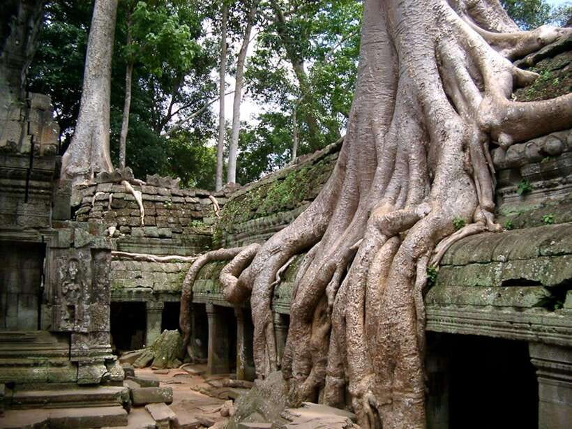 Private Angkor Sunrise, Guide Breakfast and Tuktuk included - Bayon Temple and Angkor Thom, the capital feeling
