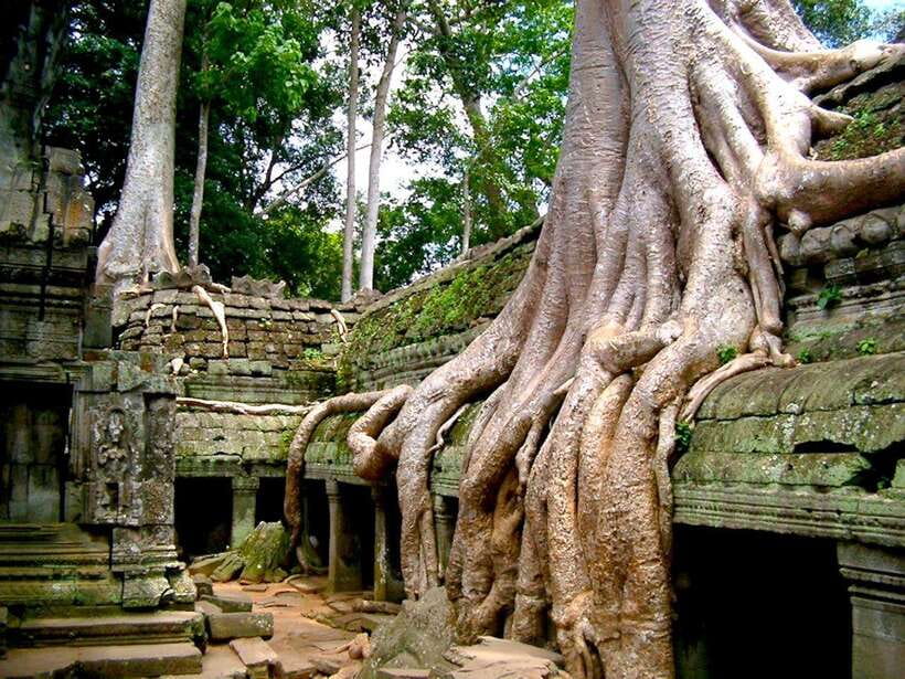 Private Angkor Sunrise, Guide Breakfast and Tuktuk included - Guide quality, the one variable you should manage